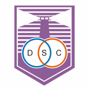 佩納羅爾后備隊(duì)